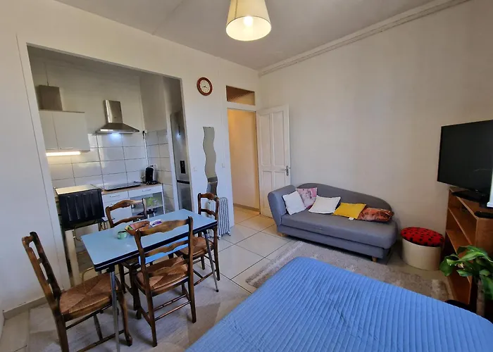 Apartment Close To Lyon And Parc De Parilly