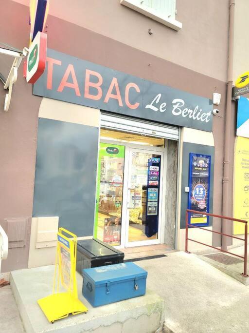 Apartment Close To Lyon And Parc De Parilly *