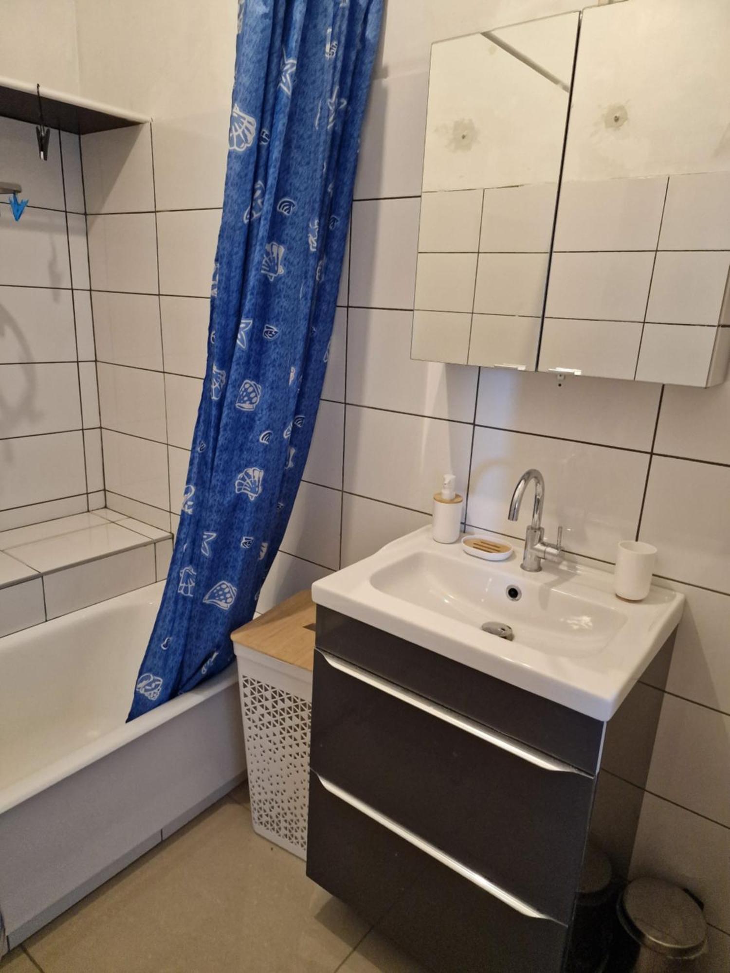 Apartment Close To Lyon And Parc De Parilly Saint-Priest (Rhone)